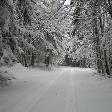 Gite De La Mortagne Extérieur photo