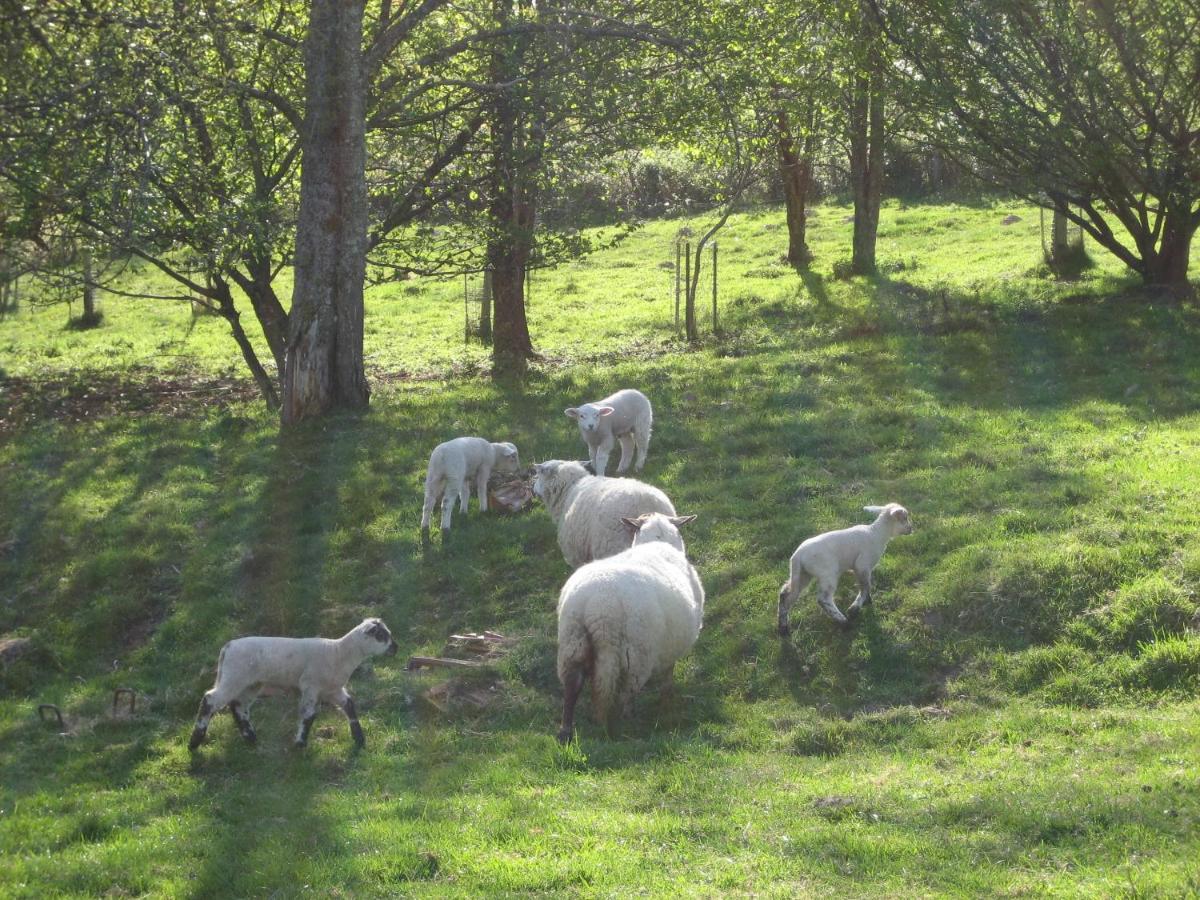 Gite De La Mortagne Extérieur photo